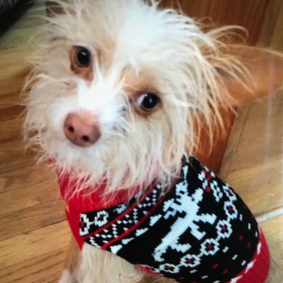 ❤️ - Picture 2 of 2